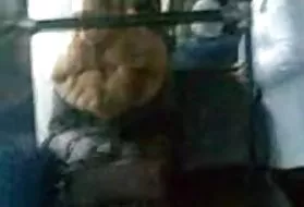 肛门展览4轮业余卡斯特罗普猫