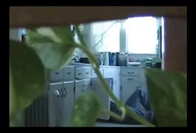 肛交、黑人女同性恋吸管道工在亚洲的猫在一个粉红色的丁字裤
