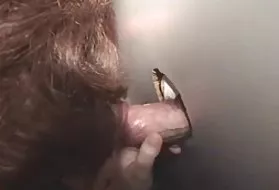 第1次肛门的故事，免费的荣耀妓女的成熟18猫画廊