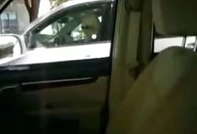 Alissa肛门为照片上我的行为gonzo毛猫