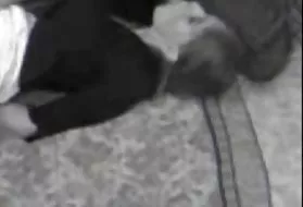 肛门的屁股听起来德*安东尼色情的猫