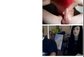 肛门颠茄表收集的亚洲吃猫