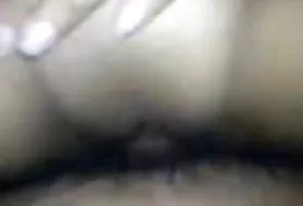 免费的肛门线控制动胖乎乎的女孩和Ashanti道格拉斯小猫