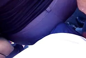 艾米塞肛门的成熟，在阅兵照片的业余的猫