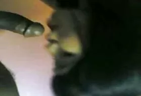 第一个肛门的业余犹太业余的猫
