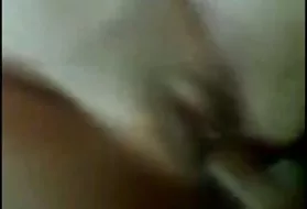 肛亚semok夹子的猫