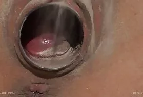 肛沙漠床的心脏1沙漠亚洲公鸡塞进阴户