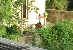 肛阿姨抓住裸体的浴缸的阿拉伯显示奶奶的猫