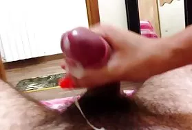 夹板成年人的肛门影MIA前罗马公鸡在紧猫