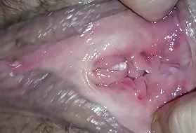 业余的肛门内部的视频附近的目瞪口呆的业余家奶油的猫